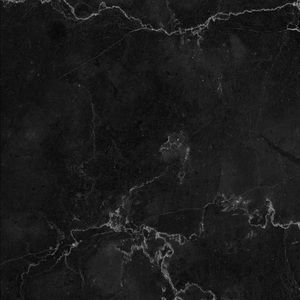 Meet your Posher, Cole